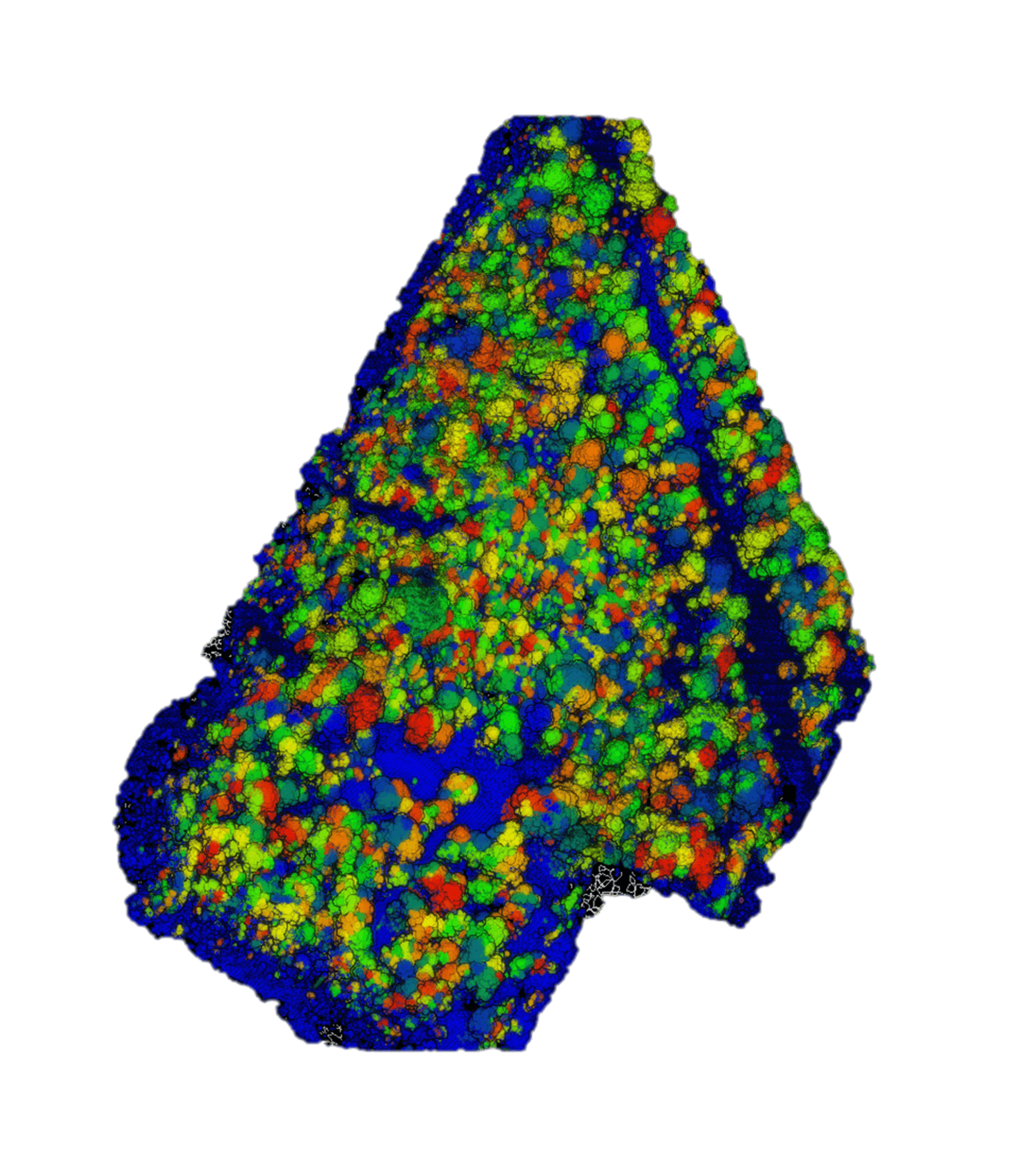 Spacesium ScoutTree - Tree Segmentation Toolbox (TST)