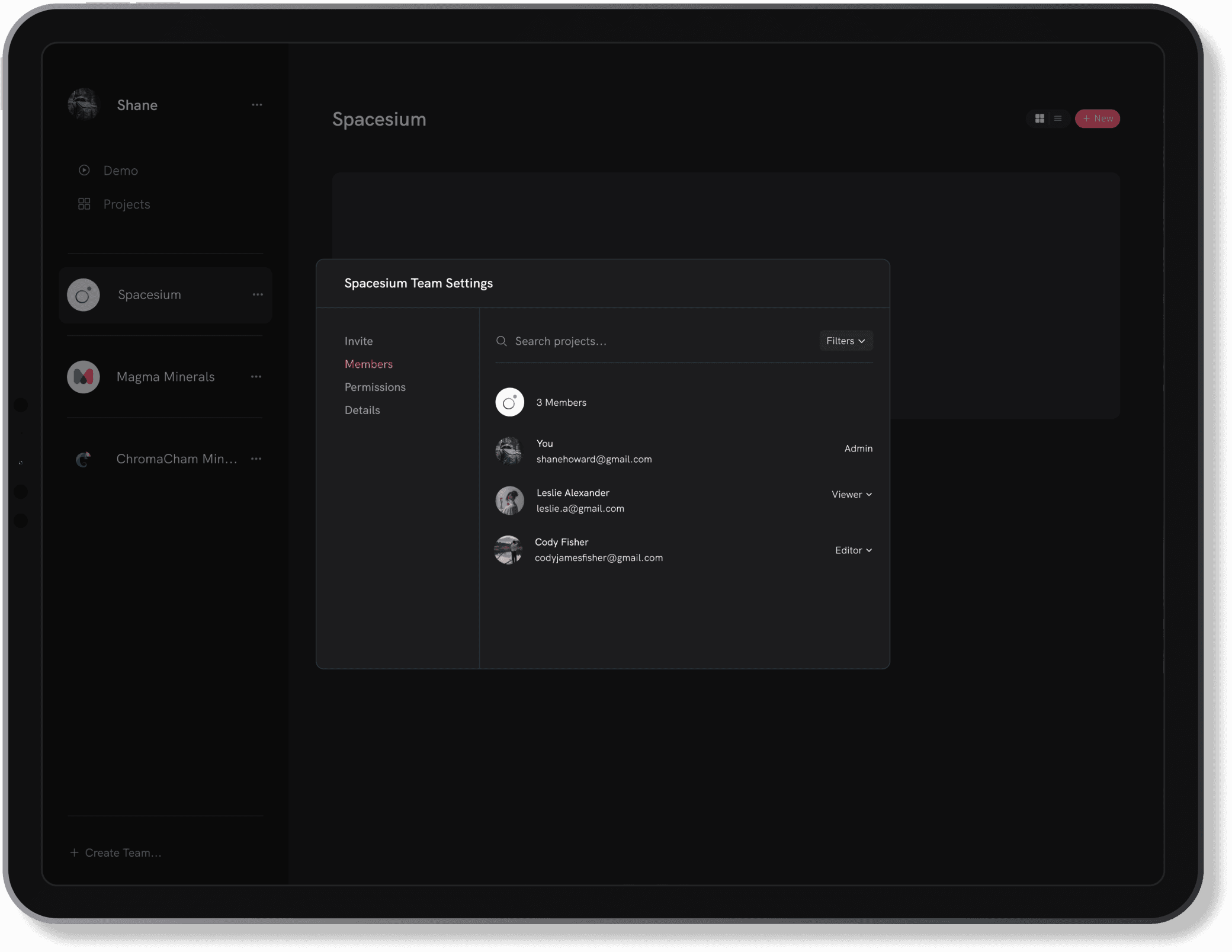 Team Management in Projects on the Spacesium Web Platform, as depicted on the Landing Page.