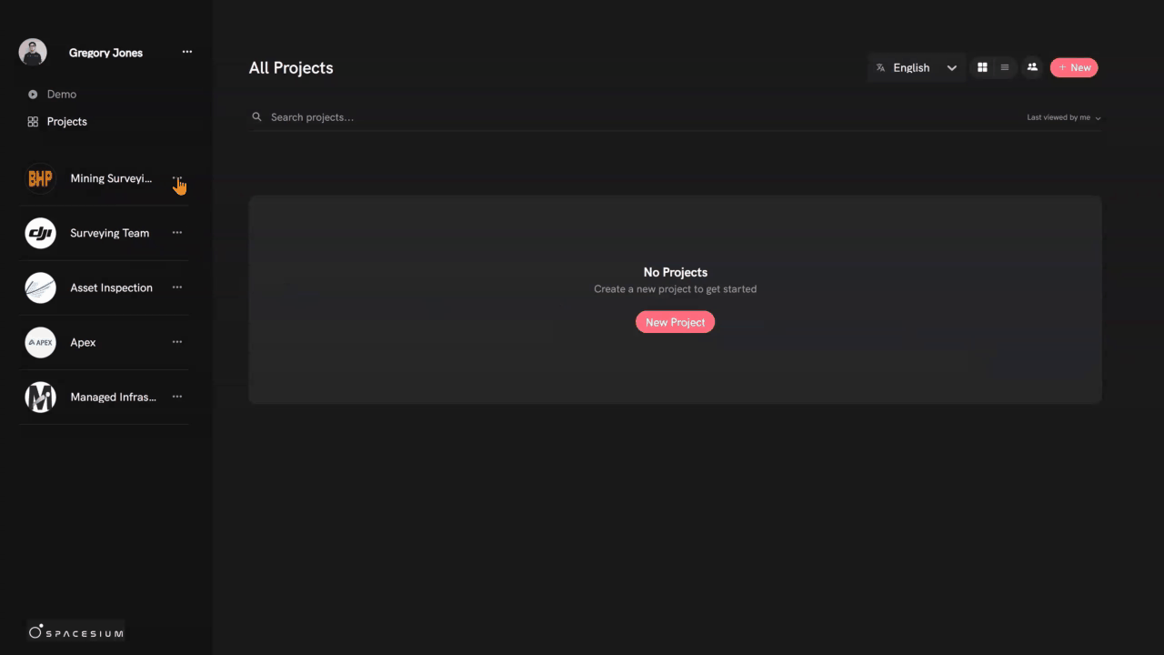 Team Management in Projects on the Spacesium Web Platform, as depicted on the Landing Page.